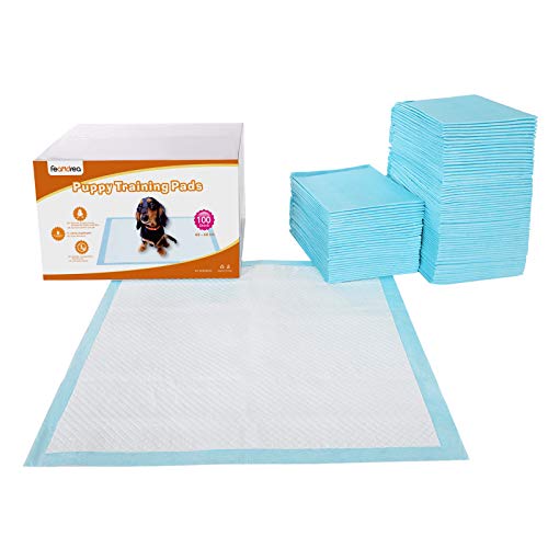 FEANDREA 100 Unidades Empapadores Toallitas Pañales Almohadillas de Entrenamiento para Mascotas Absorbente 60 x 60 cm PTD60B