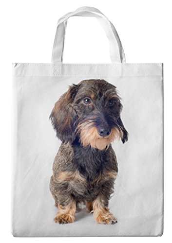 La Cesta/Bolso de Mano/Comprador/con Asas - 38x42cm - Diseño: Dachshund/Teckel/Dachshund Rauhhaardackel Sentado [19]