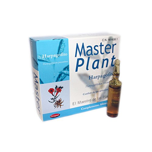 MASTER PLANT HARPAGOFITO 10AMP