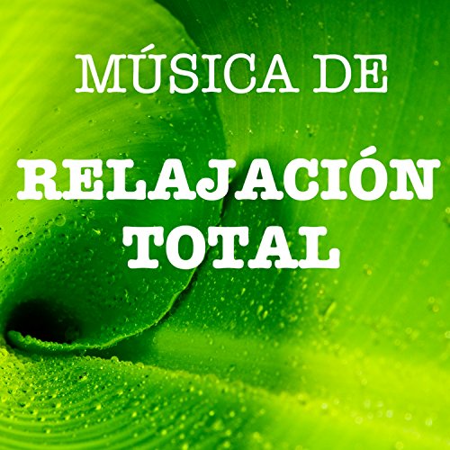 Música de Relajación Total - Música de Fondo para Yoga Asanas y Clases de Hatha Yoga