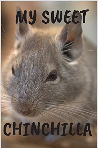 MY SWEET CHINCHILLA: Notebook 6x9inches 120 pages. Paper in a line.Perfect gift idea.For pet's breeding enthusiasts and for people with a sense of humor