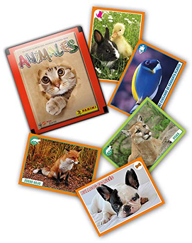 Panini- Animales 2019 Cromos (003713BOX50E)