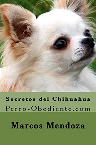 Secretos del Chihuahua: Perro-Obediente.com