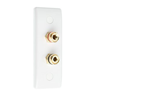 Slimline 2 Post Altavoz Sonido Envolvente Placa de Pared con Dorado Bornes No Requiere Soldadura