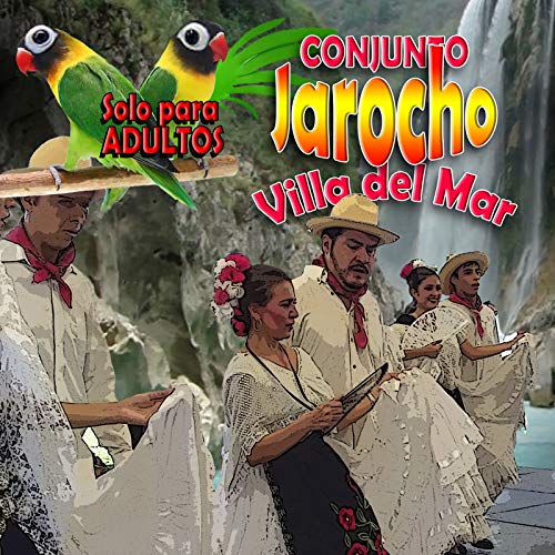 Solo Para Adulos Conjunto Jarocho Villa Del Mar