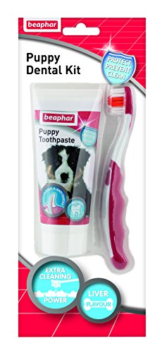 Beaphar Kit dental para cachorros