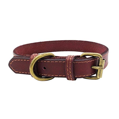 CAOQAO - Collar de Perro de compañía, de Piel, Resistente al Agua, Hebilla de liberación rápida de Seguridad, Collar Ajustable – para Perro de tamaño Mediano/Grande, 3 Colores