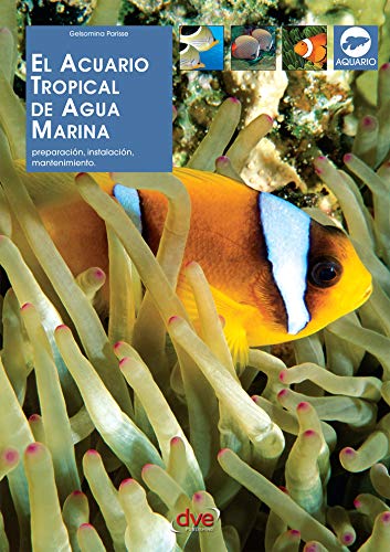 El acuario tropical de agua marina