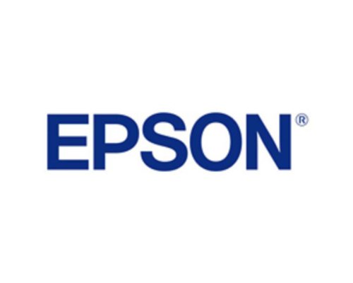 Epson Tinta Gris 700ML SP7900/9