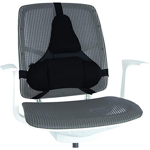 Fellowes Professional Series - Cojín lumbar ergonómico, protección antibacteriana, color negro