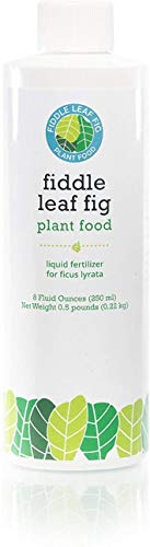 Fiddle Leaf Fig Plant Food Fertilizantes árbol - 8 oz de líquido.