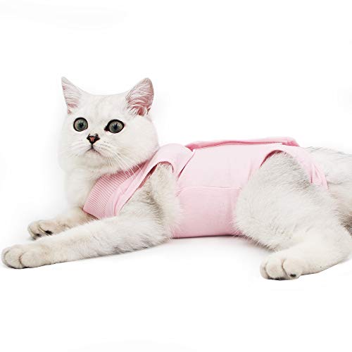 Traje de recuperación Profesional para heridas Abdominales o Enfermedades de la Piel, Alternativo para Gatos y Perros, después de la cirugía, Ropa para el hogar