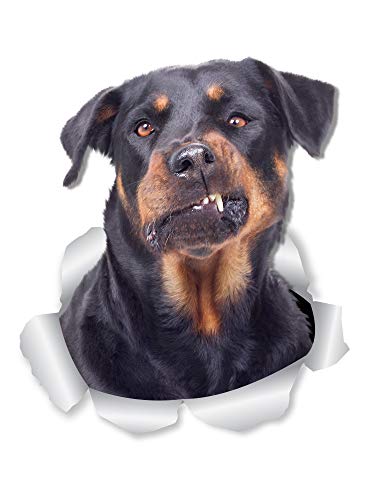 Winston & Bear - Adhesivos decorativos para pared, diseño de perro Rottweiler (2 unidades)