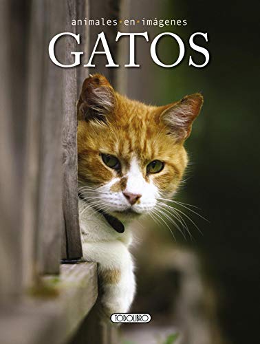 Gatos (Animales en imágenes)