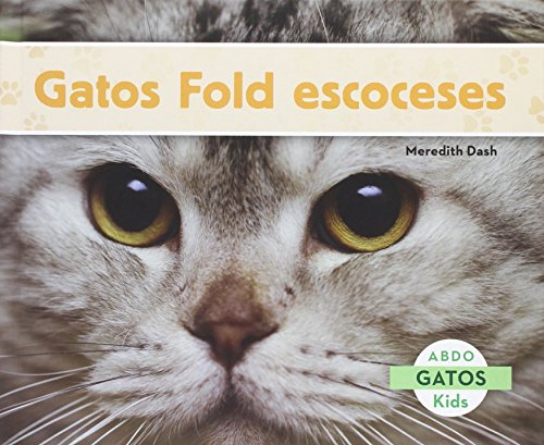 Gatos Fold Escoceses (Gatos / Cats)