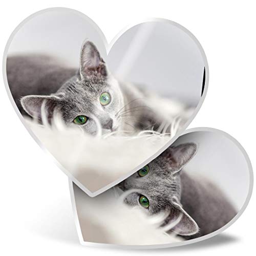 Impresionante 2 pegatinas de corazón de 7,5 cm – diseño de gato ruso azul gatito mascota divertida calcomanías para portátiles, tabletas, equipaje, libros de chatarra, frigorífico, regalo genial #2605