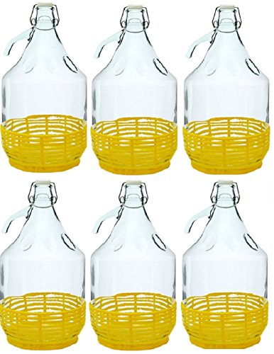 MultiDepot 6 x Cristal Globo gärballon Cristal Botella de Vino Globo Globo 5L Cierre de Clip bdp5d