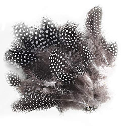 NAHUAA 180 pcs Plumas Manualidades 4-12 cm Plumas de Gallina de Guinea Plumas Naturales para Decoración de Boda Accesorios de la Foto Máscara de Catcher Sueño Prendas de Vestir DIY Artesanía Pascua