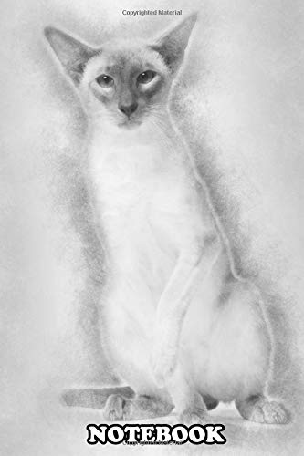 Notebook: Siamese Cat Portrait Against White Background , Journal for Writing, College Ruled Size 6" x 9", 110 Pages