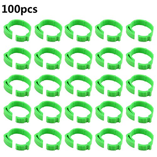 N/V 100pcs Anillo De Pie De Pollo, Anillos De Pata De Ave 18mm, Hebilla De Pierna De Pollo De Tamaño Ajustable, Marcadores De Etiqueta De Número Numerada 001-100 para Pájaros Paloma Pollo Pato Aves