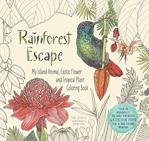 Rainforest Escape (Colouring Books)