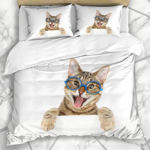 Soefipok Conjuntos de Funda nórdica Paw Emocionado Feliz Gato de Bengala con Gafas Mirando al Gatito Mascota Gatito Inteligente con Ropa de Cama de Microfibra con 2 Fundas de Almohada