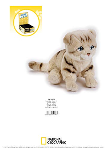 Venturelli Scottish Fold Cat Ngs - Peluche de Gato, Multicolor, 8004332706731