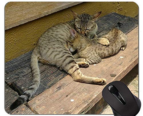 Yanteng Alfombrillas de ratón, Lindas Alfombrillas de ratón de Gato Americano de Pelo Corto Personalizadas, Alfombrilla de ratón de Gato de Bengala con Borde Cosido