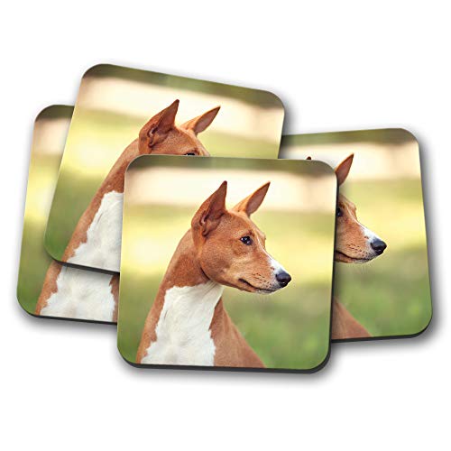 Juego de 4 posavasos con diseño de perro Basenji – África Caza Cachorro mascota divertido regalo # 12378