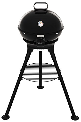 Tefal Aromati-Q BG916812 - Parrilla Eléctrica de 2300 W para Barbacoa 3 en 1, Asar, Aromatizar y Hornear, Termometro Ajustable 6 Posiciones, Fácil de Limpia, Soporte Incluido, Pie, Exterior