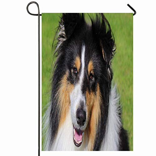 Yard Flags,Color Marrón Adorable Primer Plano Tricolor Rough Collie Lassie Verde Raza Negra Canino Diseño Lindo Premium Home Garden Banners,32x45.7cm