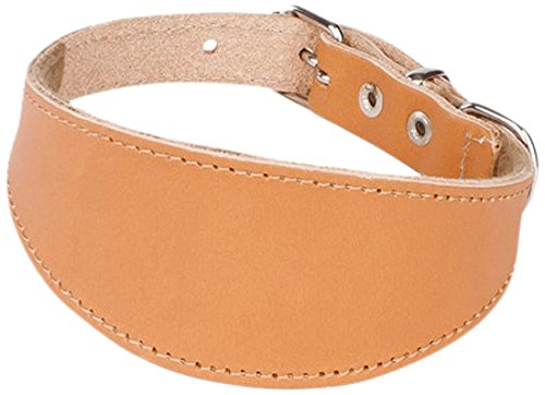 Dingo Collar de Piel Whippet