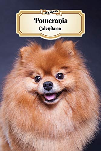 2020 Pomerania Calendario: 107 Páginas | Tamaño A5 | Planificador Semanal | 12 Meses | 1 Semana en 2 Páginas | Agenda Semana Vista | Tapa Blanda | Perro