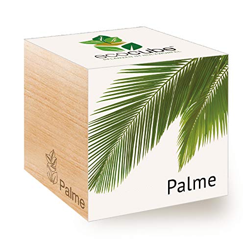 Feel Green Ecocube Palme, Idea de Regalo sostenible (100% Eco Friendly), Grow Your Own/Anzuchtset, Plantas en el Cubo de Madera, Fabricado en Austria