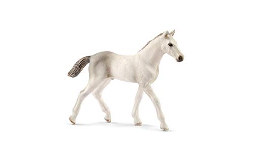 Schleich-13860 Potro Holsteiner, Color Gris, Blanco (13860)