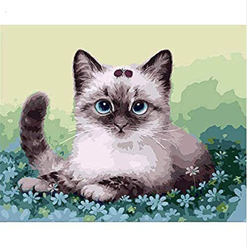 zhangsh Digital Pintar al óleo parapintada a Mano de Pintura alPaquete Pinturas traviesas del Gato Persa para el hogar-Los Mejores Regalos para Amantes, niños y Madres -40x50cm-Sin Marco