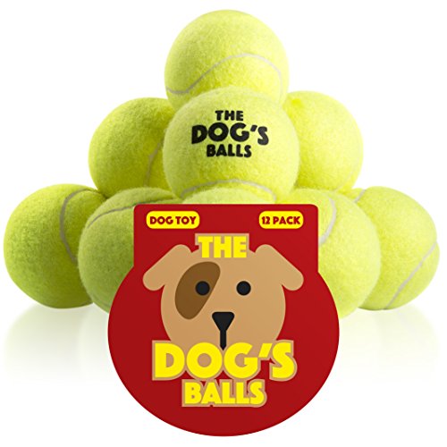 Pelotas de tenis para perros The Dog’s Balls