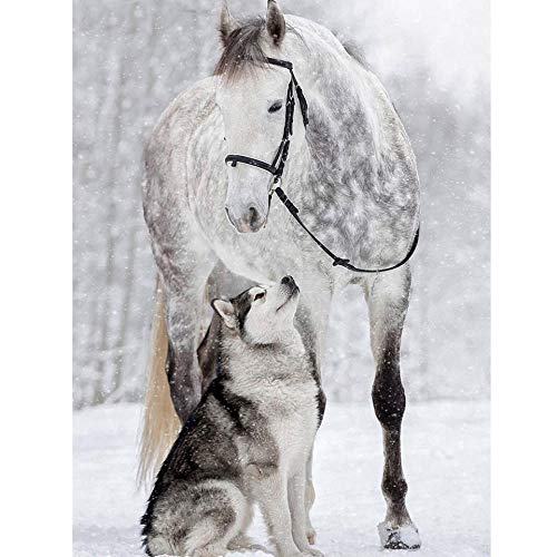 Pintura Diamante 5D Kit Completo De Punto De Cruz Diamante Caballo Y Husky Siberiano En La Nieve DIY Diamante Bordado Mascota Arte De Pared Regalo Decoración Del Hogar 15.7 × 19.7 Inches