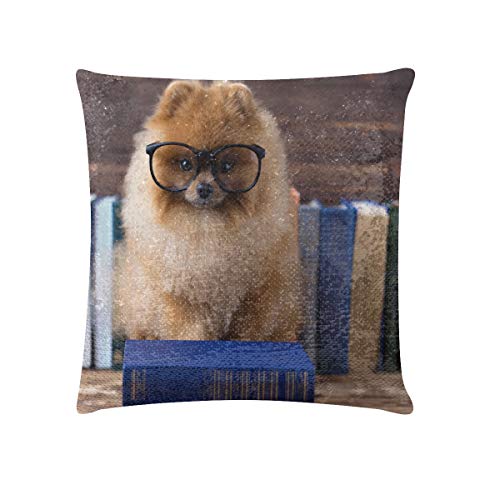 LMFshop Sofá Funda de Almohada Perro Pomerania Listo con un Libro Fundas de Almohada de Lentejuelas Funda de Almohada de Cama Brillante Reversible de 18 x 18 Pulgadas Decoración para el hogar