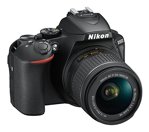 Nikon D5600 + AF-P DX 18-55mm VR + 8GB SD Juego de cámara SLR 24,2 MP CMOS 6000 x 4000 Pixeles Negro - Cámara Digital (24,2 MP, 6000 x 4000 Pixeles, CMOS, Full HD, Pantalla táctil, Negro)