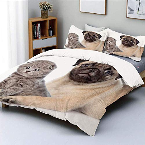 DYCBNESS Bedding Juego de Funda de Edredón, Lindo Gatito y Cachorro de Cachorro de Mascota Scottish Fold Animal Fun Photography Print Juego de Cama Decorativo de 3 Piezas 2 Funda de Almohada