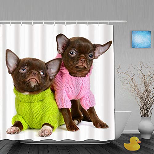 Ngkaglriap Cortina de Baño,Lindo Chocolate Chihuahua Cachorro Animales Vida Silvestre Divertido Perro Pequeño,Cortinas de Ducha con 12 Ganchos de plástico 180 * 180cm