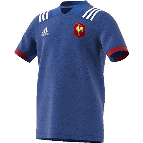 adidas Federación Francesa Camiseta de Equipación, Niños, Azul/Blanco (Rojpot), 164-13/14 años