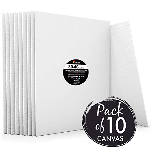 Zenacolor - Set de 10 Canvas - Lienzos para Pintar 30x40cm - Todos los Tipos de Pintura sobre Tela - 100% Algodón sin Ácidos