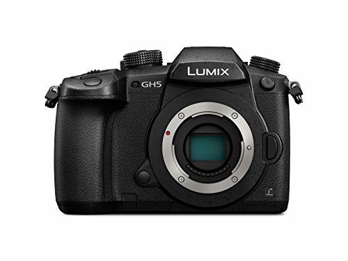 Panasonic Lumix DC-GH5 - Cámara EVIL de 20.3 MP, Pantalla de 3.2", Visor OLED, Estabilizador Dual I.S. 2 5 Ejes, 4K, Wi-Fi, Bluetooth