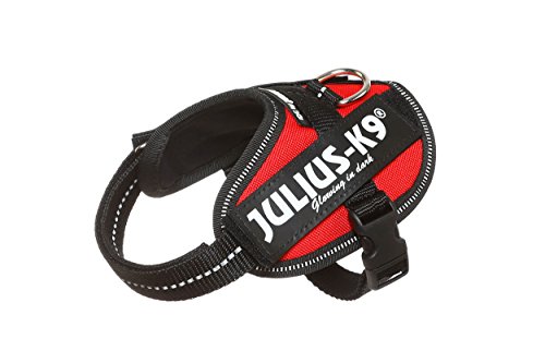 Julius-K9 16IDC - Power Harness