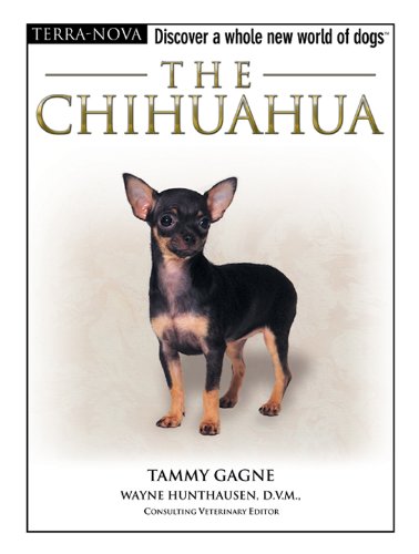 The Chihuahua (Terra-Nova) (English Edition)