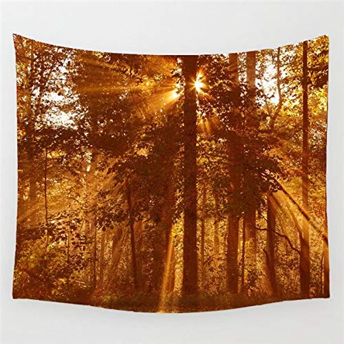 N / A Tapiz Mandala Indio Tapiz del Amanecer Decoración del hogar Tapiz montado en la Pared Tapiz del Bosque Cubierta de la Cama Estera de Yoga Manta Mantel de Noche P26 150cmx130cm