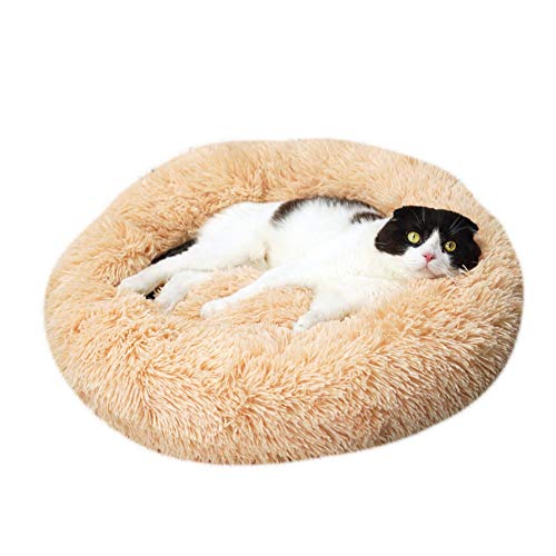 huangThroStore Cama calmante para Perros y Gatos, Cama de Felpa para Cachorros y Perros, Amarillo, 80 cm