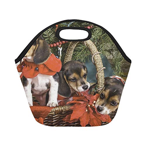 Bolsa de almuerzo aislada de neopreno Tres canastas de cachorros Beagle tricolores debajo de bolsas de asas gruesas térmicas reutilizables de gran tamaño para cajas de almuerzo para exteriores, traba